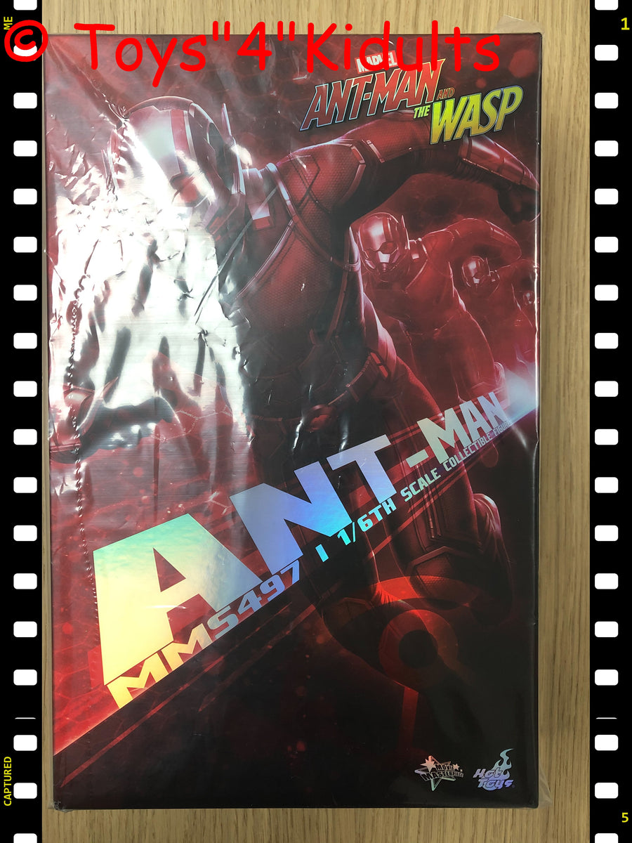 HOT TOYS 1/6 MARVEL ANT-MAN MMS308 ANT-MAN SCOTT LANG MOVIE ACTION