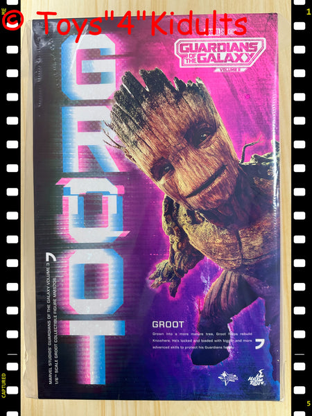 Hottoys Hot Toys 1/6 Scale MMS706 MMS 706 Guardians of the Galaxy Vol. 3 - Groot Action Figure NEW