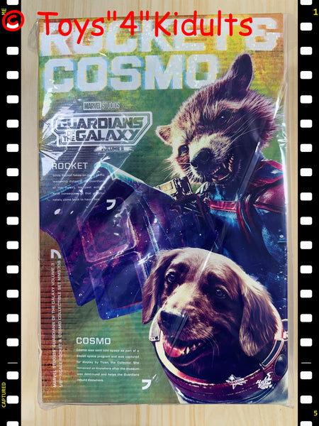 Hottoys Hot Toys 1/6 Scale MMS708 MMS 708 Guardians of the Galaxy Vol. 3 - Rocket and Cosmo Action Figure NEW