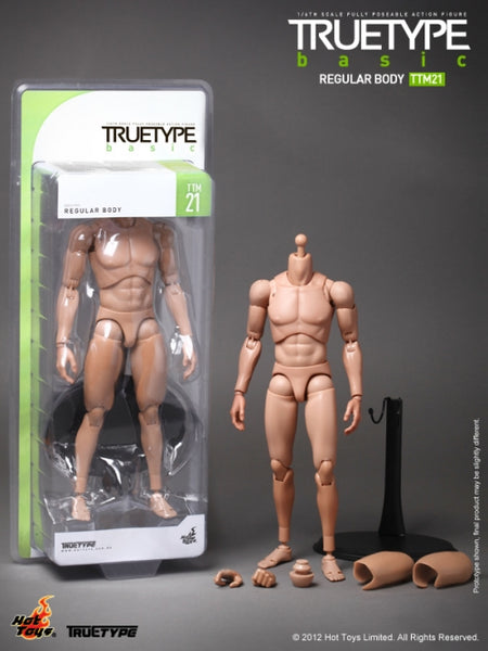 Hottoys Hot Toys 1/6 Scale TTM21 TTM 21 TrueType True Type Figure Body - Caucasian Male (Regular Body Version) Action Figure NEW